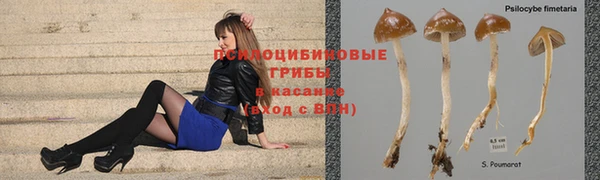 mdma Зеленодольск