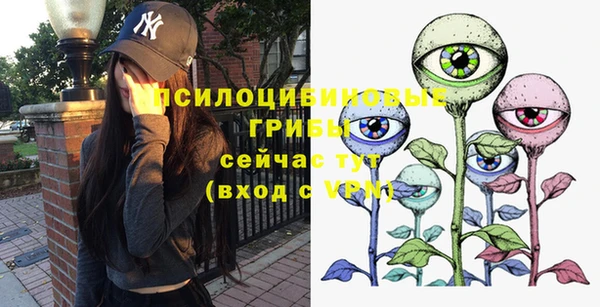ECSTASY Зеленокумск