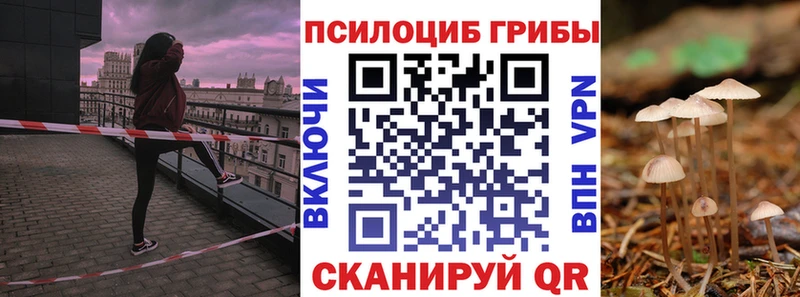 Купить где  Циолковский  Галлюциногенные грибы мухоморы 
